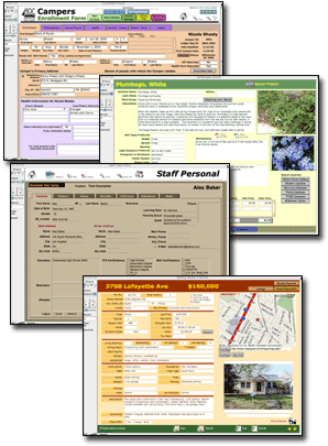 FileMaker Pro examples